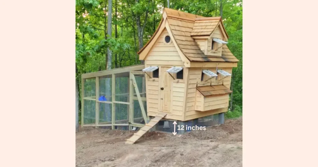 how to keep predators out of chicken coop